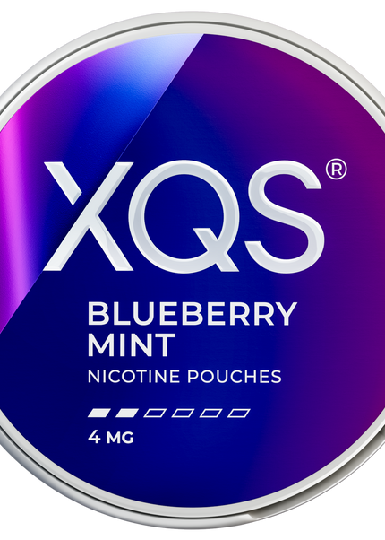 XQS Blueberry Mint 4 mg
