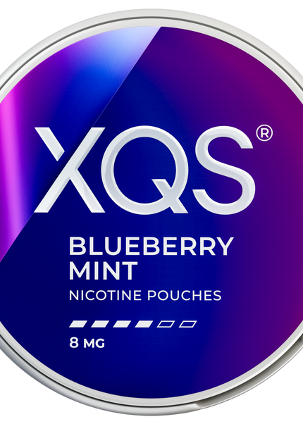 XQS Blueberry Mint 8 mg