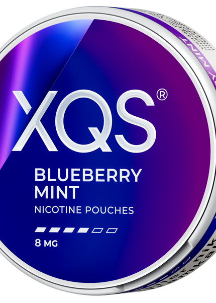 XQS Blueberry Mint 8 mg